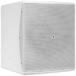 BASO 10/W subwoofer - 225 Watt - Wit